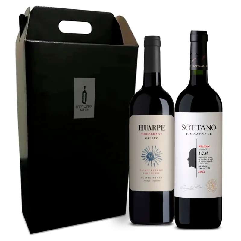 BUSINESS Maletín 2 Vinos