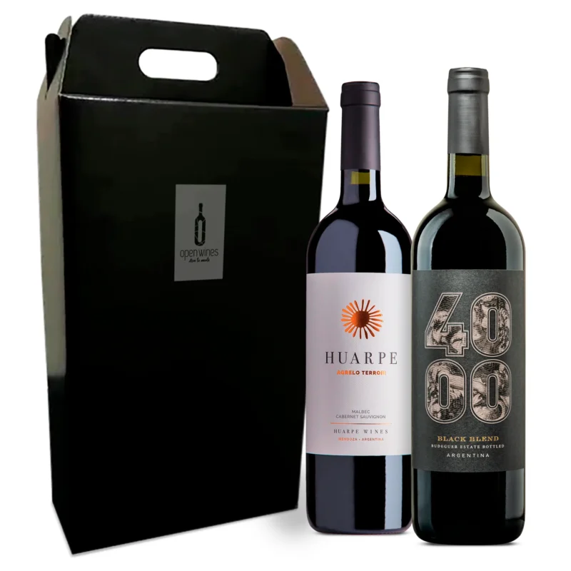 EXECUTIVE Maletín 2 Vinos